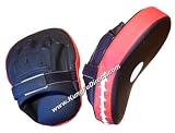 Curved Focus Mitts Pro Leather (Pair)