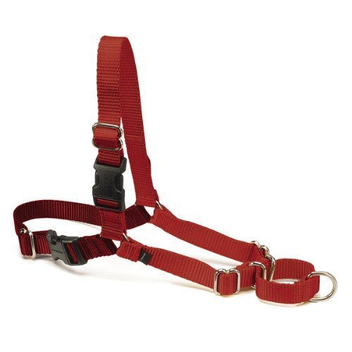 Premier お散歩ひっぱり即解消ハーネス イージーウォークハーネス Mサイズ・レッド EWH HC M RED