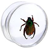22MM Organic BEETLE Resin Saddle Plug