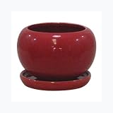 インテリアポット アイシー レッド 皿付 (穴有・キャップ付) 14cm /植木鉢
