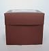 Single Cocoa Brown Cupcake Box with Window pack of 10
