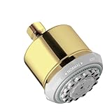 Hansgrohe 28496931 Clubmaster Shower Head, Polished Brass