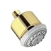Hansgrohe 28496931 Clubmaster Shower Head, Polished Brass
