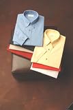 Tall Men's Non-Iron Shirt by Enro