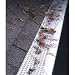 Outdoor Living : Gutter Screen - Set of 5 (White) (35"L x 6 1/2"W (each of 5 panels))