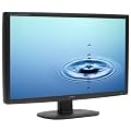 Iiyama - PLE2409HDS-B1 - Ecran PC LCD 24" - Full HD - VGA/DVI - HDMI