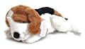 Russ Buckets the Large Beagle Dog