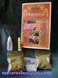 Henna Tattoo Kit (Over 70 Designs)