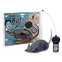 Radio Controlled Rat- The Rotten Rodent