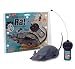 Radio Controlled Rat- The Rotten Rodent