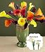Assorted Fall Mini Calla Lilies