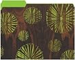 Flutter Green Designer File Folders