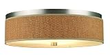 Cassandra Satin Nickel Flush Mount Forecast (FC-F6156-36)