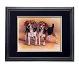 Two Baby Beagle Puppy Dogs Hunting Picture Double Matted (black over gold) Framed Art Print
