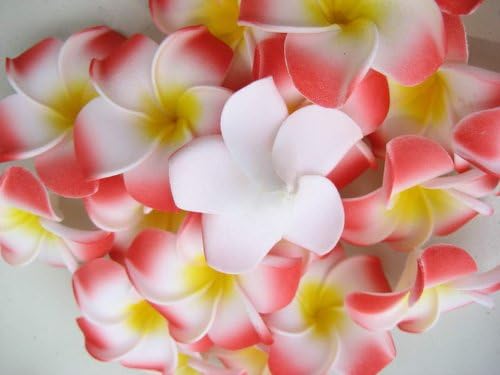 12 Foam Floating Frangipani/plumeria/hawaiian Flower Heads Pool Pond 2 Inch Sf43