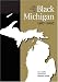 Third Party New : The State of Black Michigan, 1967- 2007