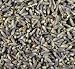 Lavender Flowers - Bulk Herbs 1 Ounce