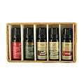 Florame Coffret diffusion 5 compositions d'huiles essentielles 10ml 100% bio