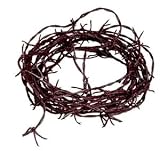 Rusty Barbed Wire Garland