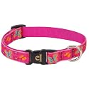Puppy Love - Lupine Adjustable Collars Medium 3/4" x 15" - 25"