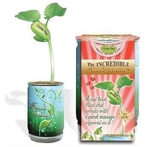 Unique Valentines Day Gifts for Him