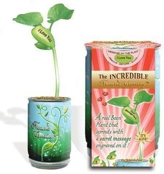 Natures Greeting Magic Plant- "I Love You"