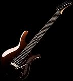 NEW PARKER MAXX FLY RADIAL NECK SERIES DF624RB GUITAR