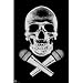 Steez Skull Microphones 24X36 Poster 4840