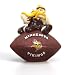 Minnesota Vikings Football Paperweight