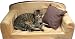 Monster Size Camel Faux Suede Classic Cat Settee With Throw Cushion 96x61x34 cm (37.8 x24x13.4 inches) From ExtraComfort