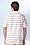 Short Sleeve Heritage Striped Super Dry Polo
