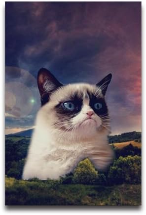 Funny Grumpy Cat Wallpaper Sky Wall Paper Kitten Custom Fashion Poster
