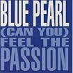 (Can You) Feel the Passion