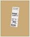 Microsoft OEM OneNote 2007, DSP OEI v2, 1 Pack, Medialess Kit (PC)