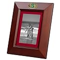 Michigan State University Vertical Frame