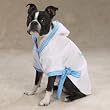 Zack & Zoey Royalty Dog Bathrobe Large Prince