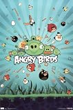 Angry Birds Group Video Game Poster Print - 22x34 Poster Print, 22x34