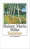 Produkt-Bild: Sommer (insel taschenbuch)
