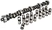 JEGS Performance Products 200142 Hydraulic Flat Tappet Camshaft & Lifters