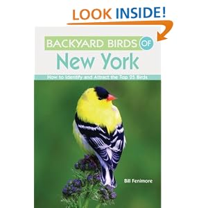 Backyard Birds Pennsylvania Identify Attract