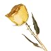Long Stem Dipped 24k Gold Trim Yellow Rose In Gold Gift Box