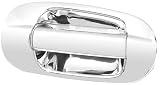 Putco 401004 Chrome Trim Door Handles
