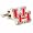 Houston Cougars