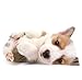 Pillowcase Ready for Bed Corgi Pillow Cover 20x30 Inch Decent