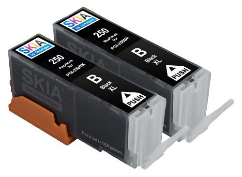 Skia Ink Cartridges ¨ 2 Pack Compatible with Canon 250 / 251(PGI-250BK) for PIXMA IP7220, PIXMA MG5420, PIXMA MG5422, PIXMA MG5520, PIXMA MG6420, PIXMA MX722, PIXMA MX922