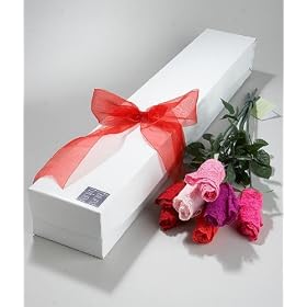 Hanky Panky Long Stem Lovin' Low Rise Thong Bouquet - 1 2 Dozen Roses Panty by Hanky Panky