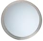 Eglo 82942A Planet 1 Light Wall/Ceiling Light Fixture, Nickel/Frosted Opal