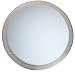 Eglo 82942A Planet 1 Light Wall/Ceiling Light Fixture, Nickel/Frosted Opal