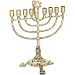 Brass Menorah