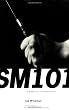 SM 101: A Realistic Introduction